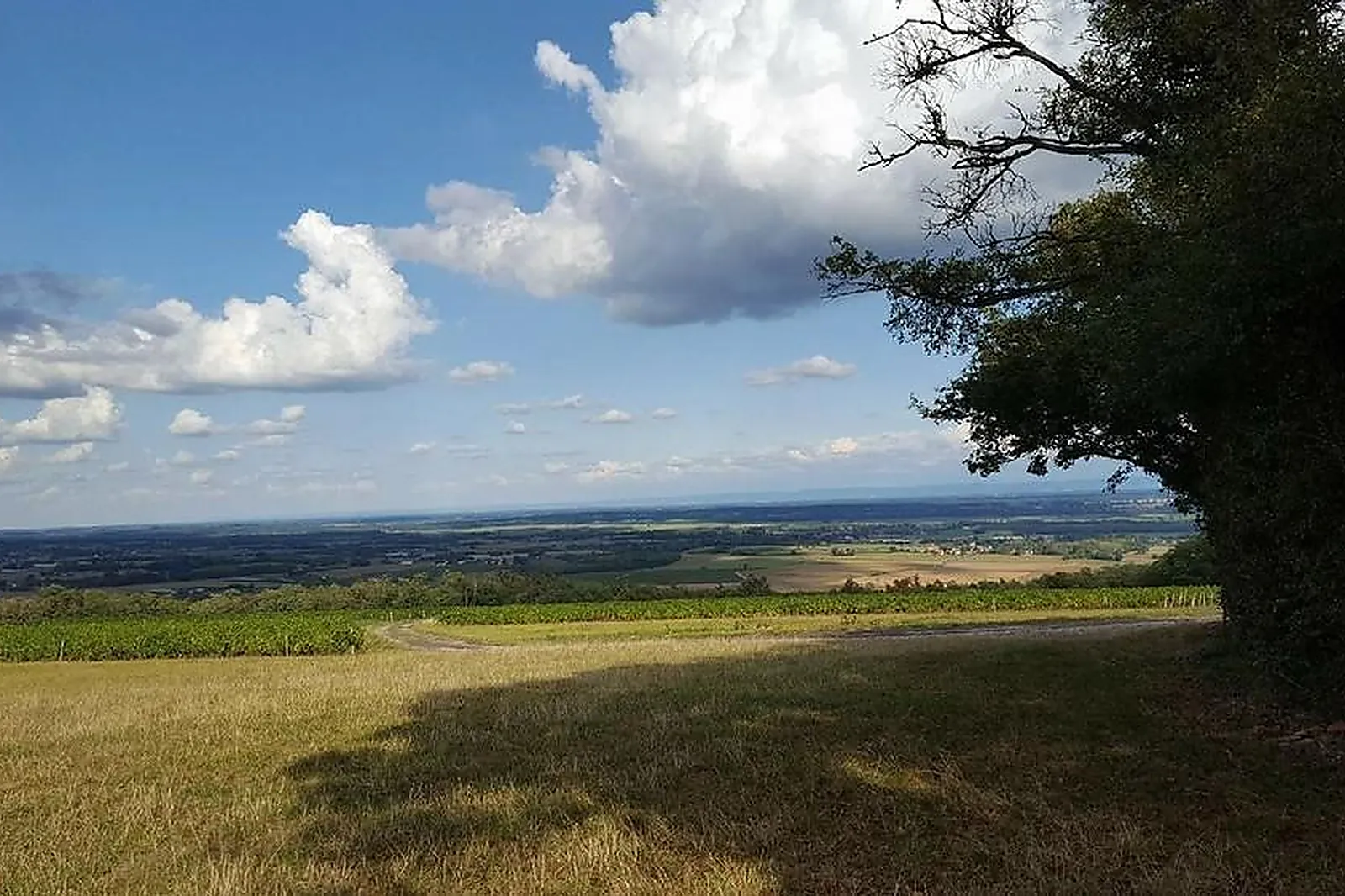 Lieux événementiels, LA TABLE DE BURGY