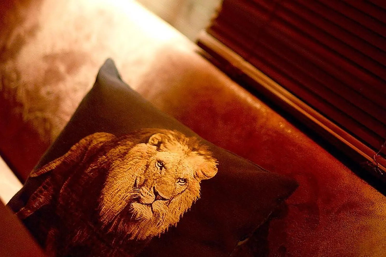 Lieux événementiels, LE BAL