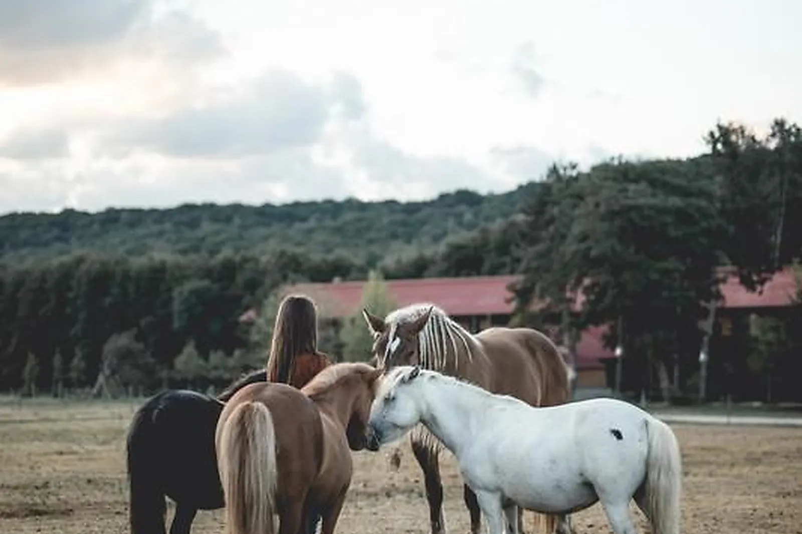 Lieux événementiels, LE BARN