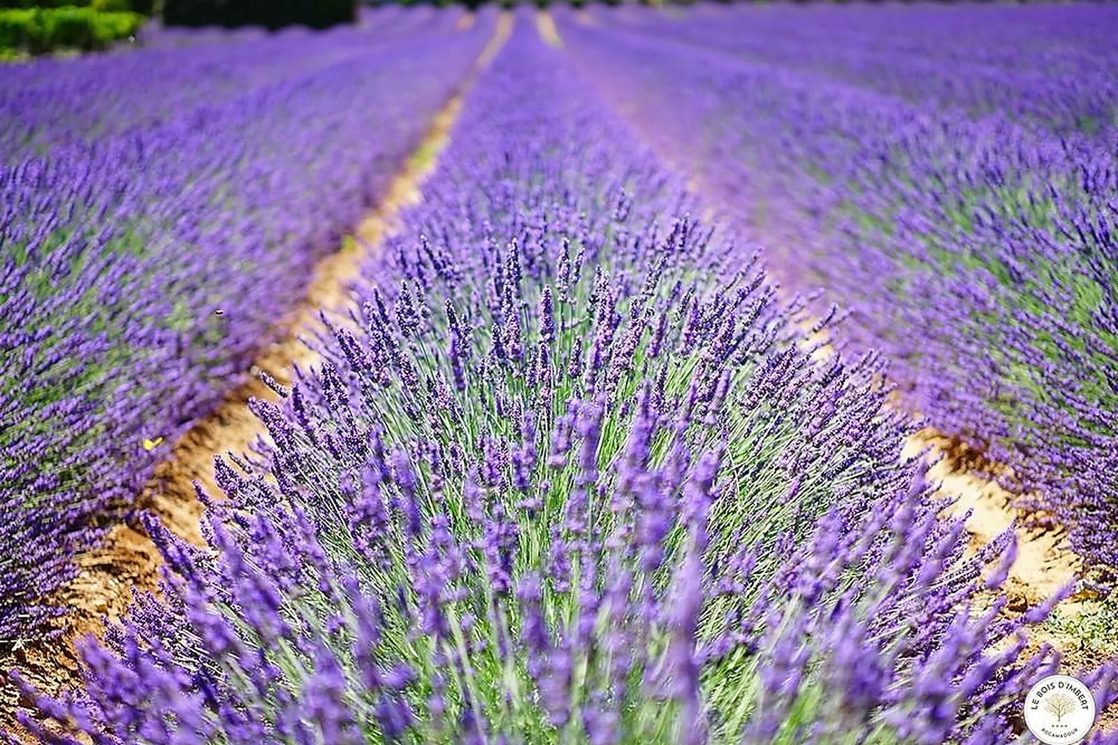 Lieux événementiels, LE BOIS D'IMBERT