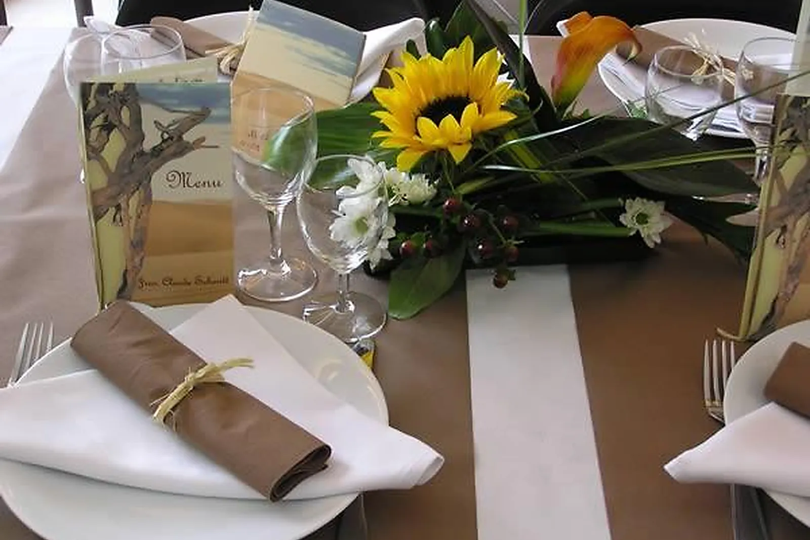 Lieux événementiels, LE CATALPA