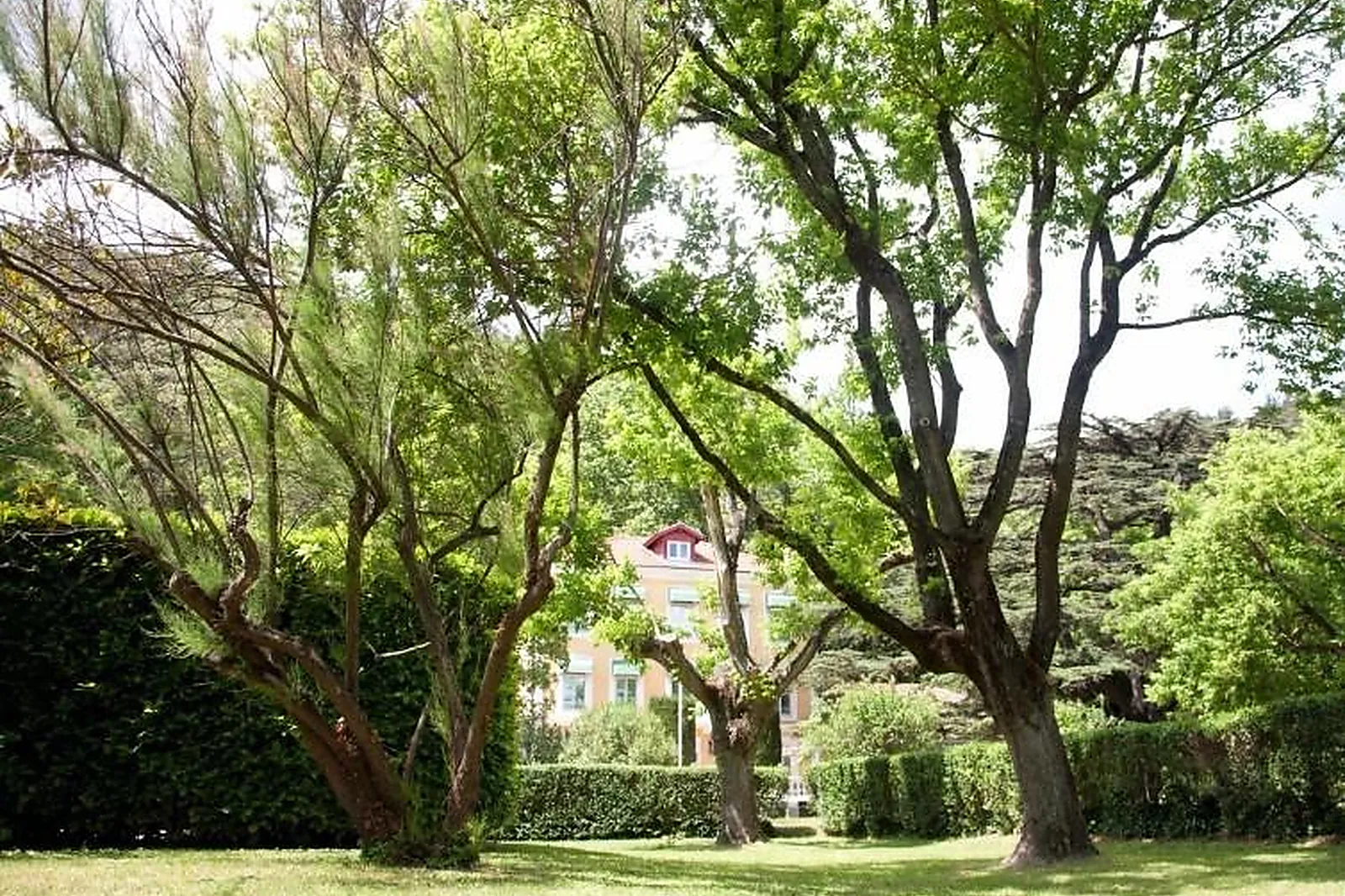 Lieux événementiels, LE CÈDRE DE SOYONS