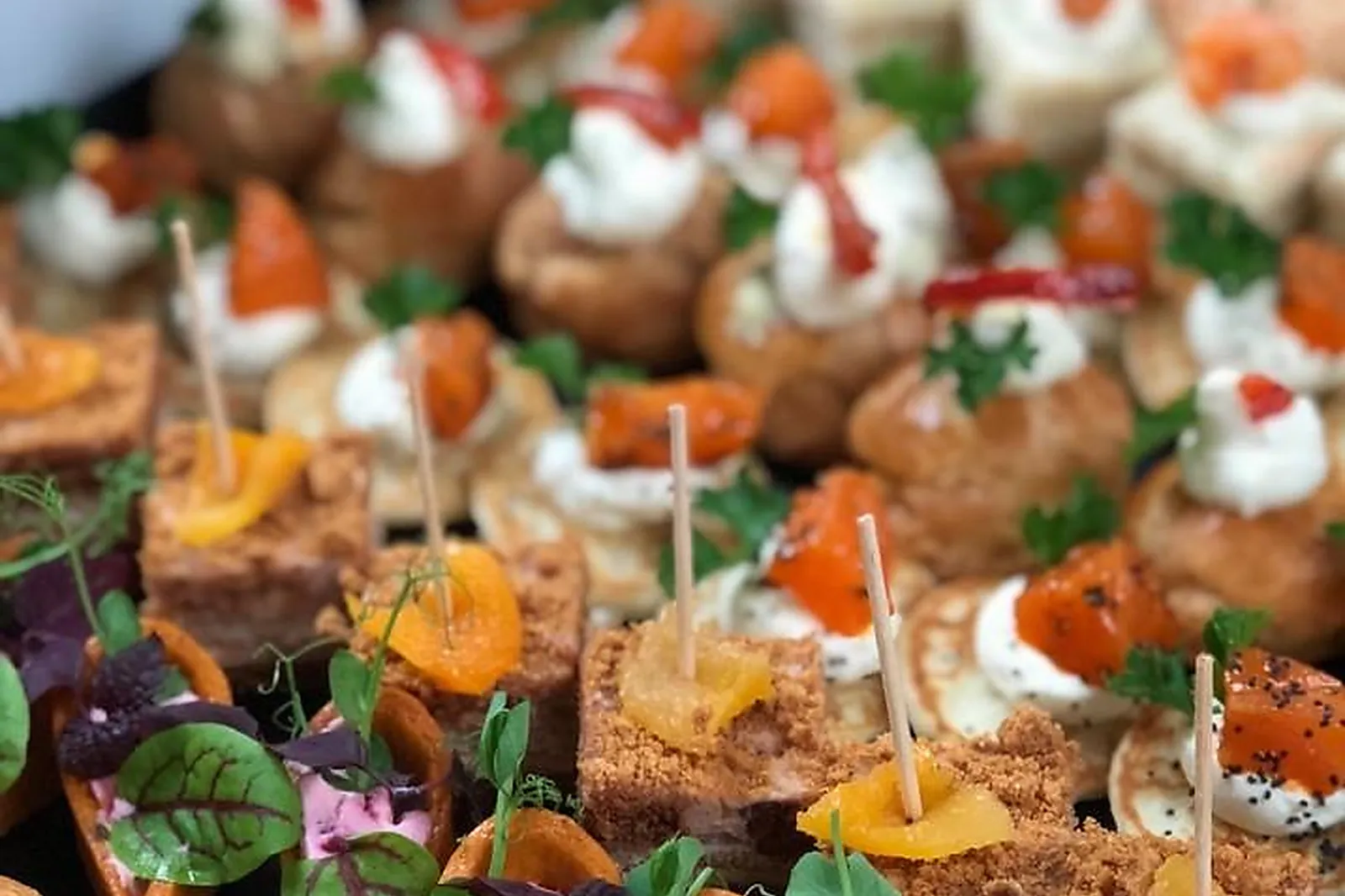 Lieux événementiels, LE CLOS DE LA SOURCE