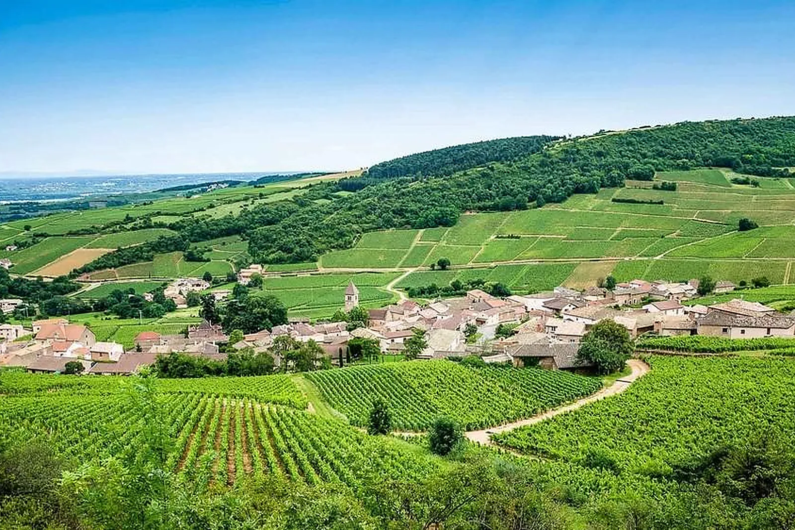 Lieux événementiels, LE DRACY HÔTEL ET SPA
