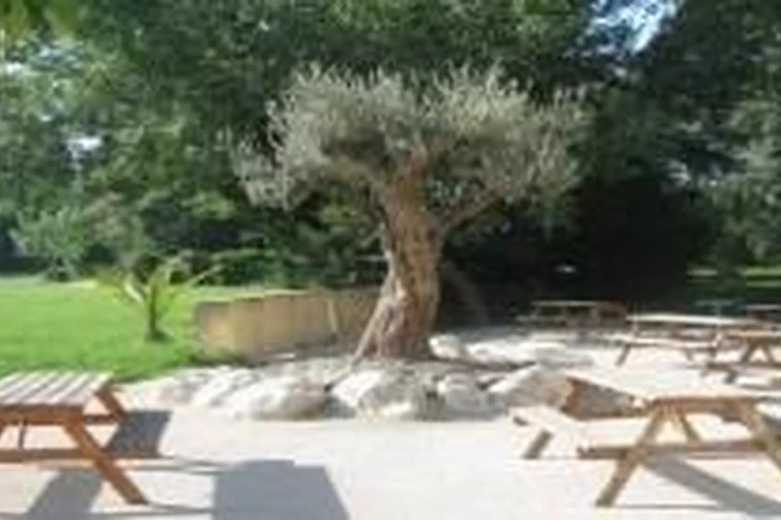 Lieux événementiels, LE FER À CHEVAL DE BEAUCAIRE