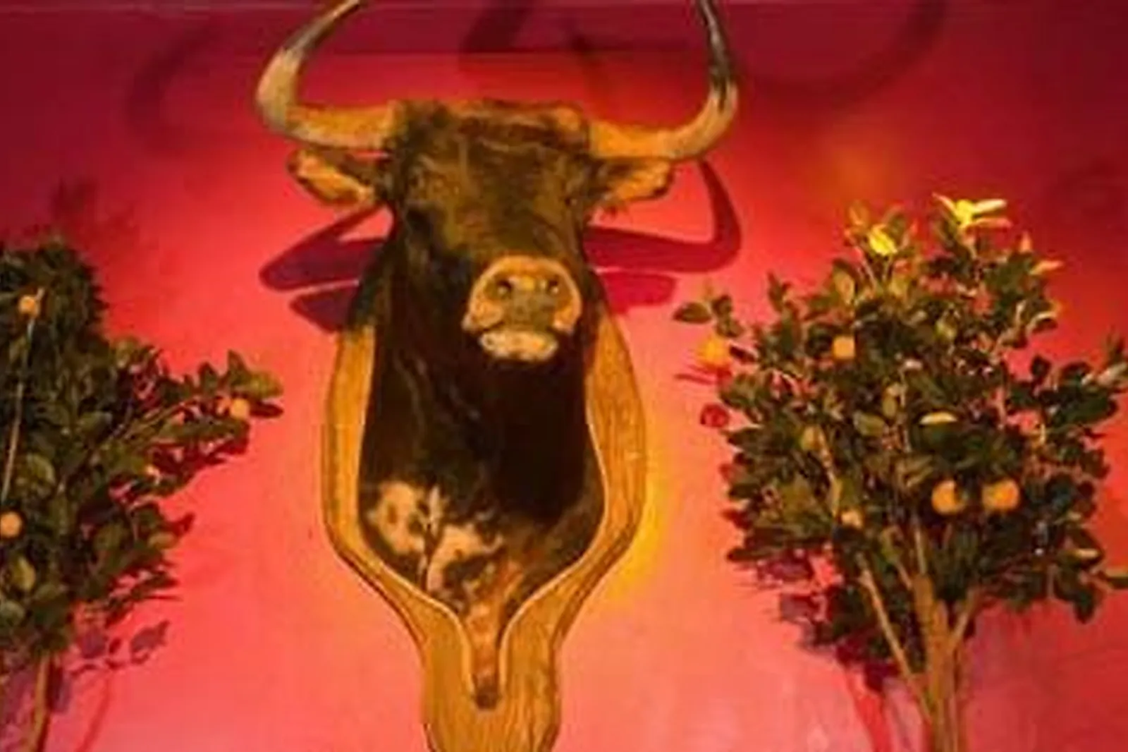 Lieux événementiels, LE GLOBO