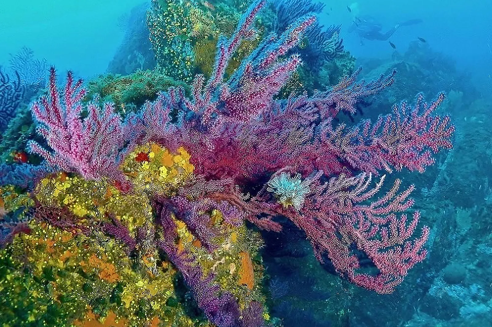 Lieux événementiels, LE GOLFE
