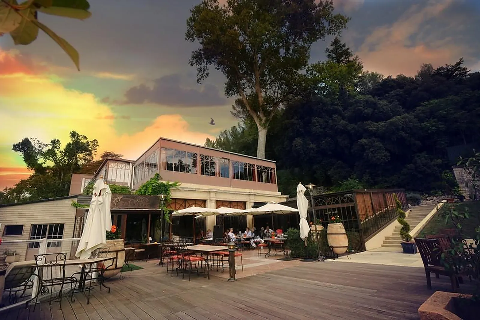 Lieux événementiels, LE GRAND ARBRE