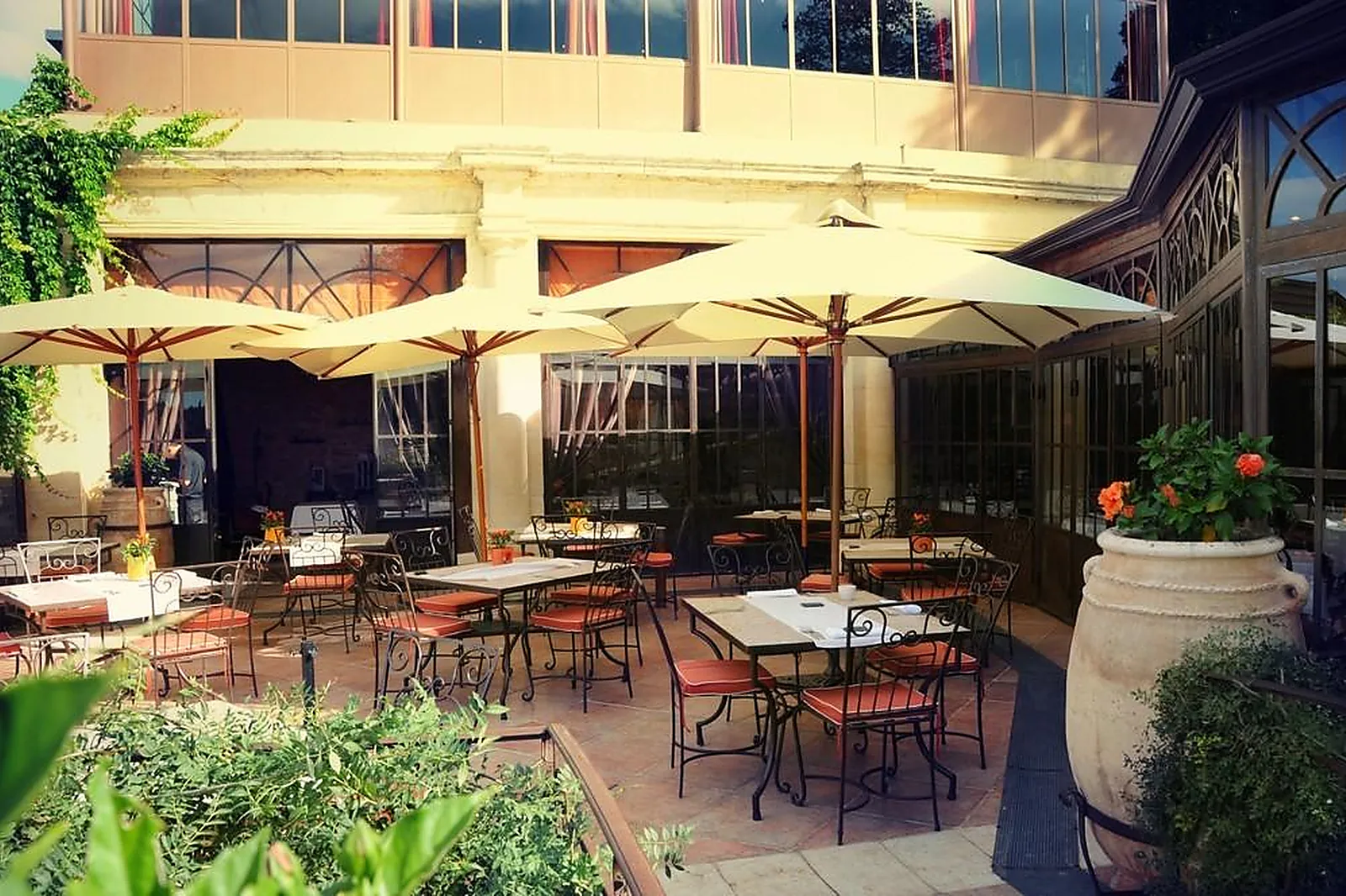 Lieux événementiels, LE GRAND ARBRE