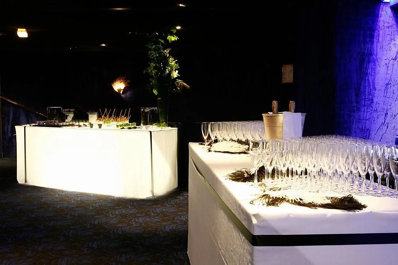 Lieux événementiels, LE LIDO DE PARIS