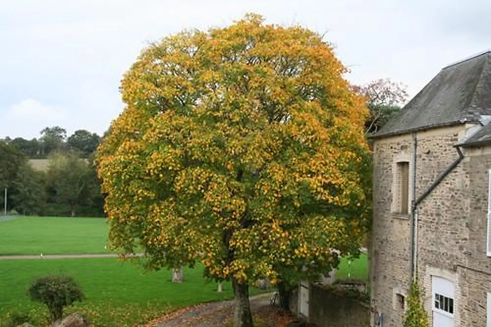 Lieux événementiels, LE MANOIR DE LA QUEUE DU RENARD