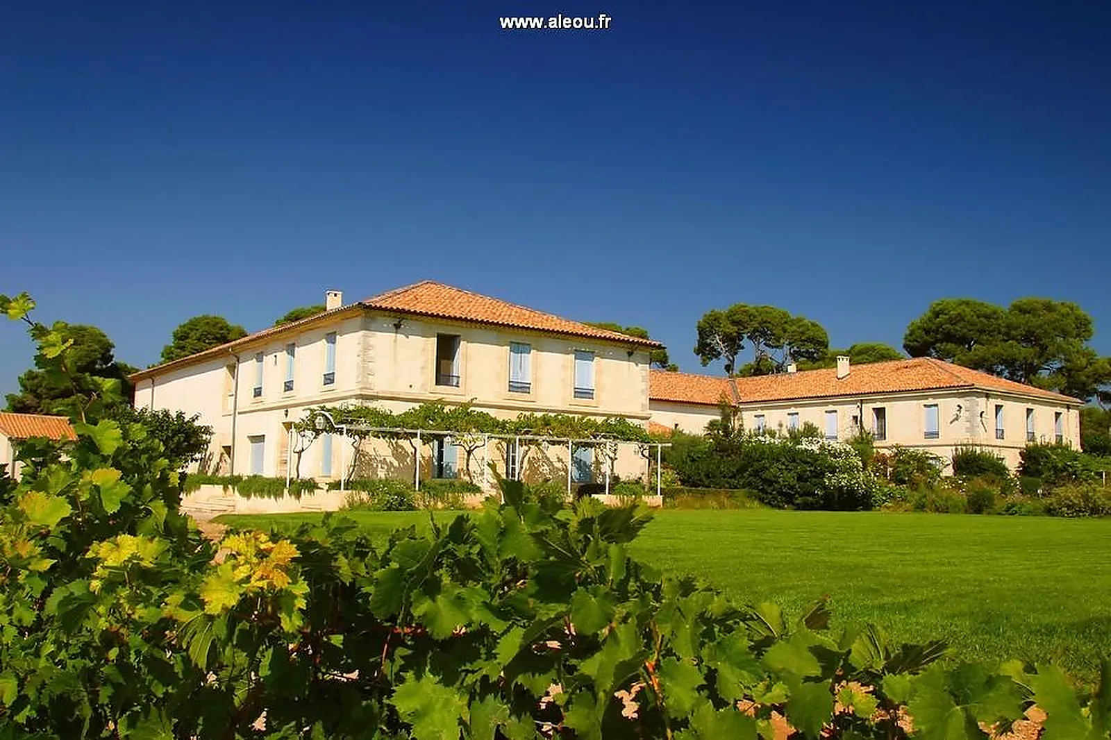 Lieux événementiels, LE MAS NEUF