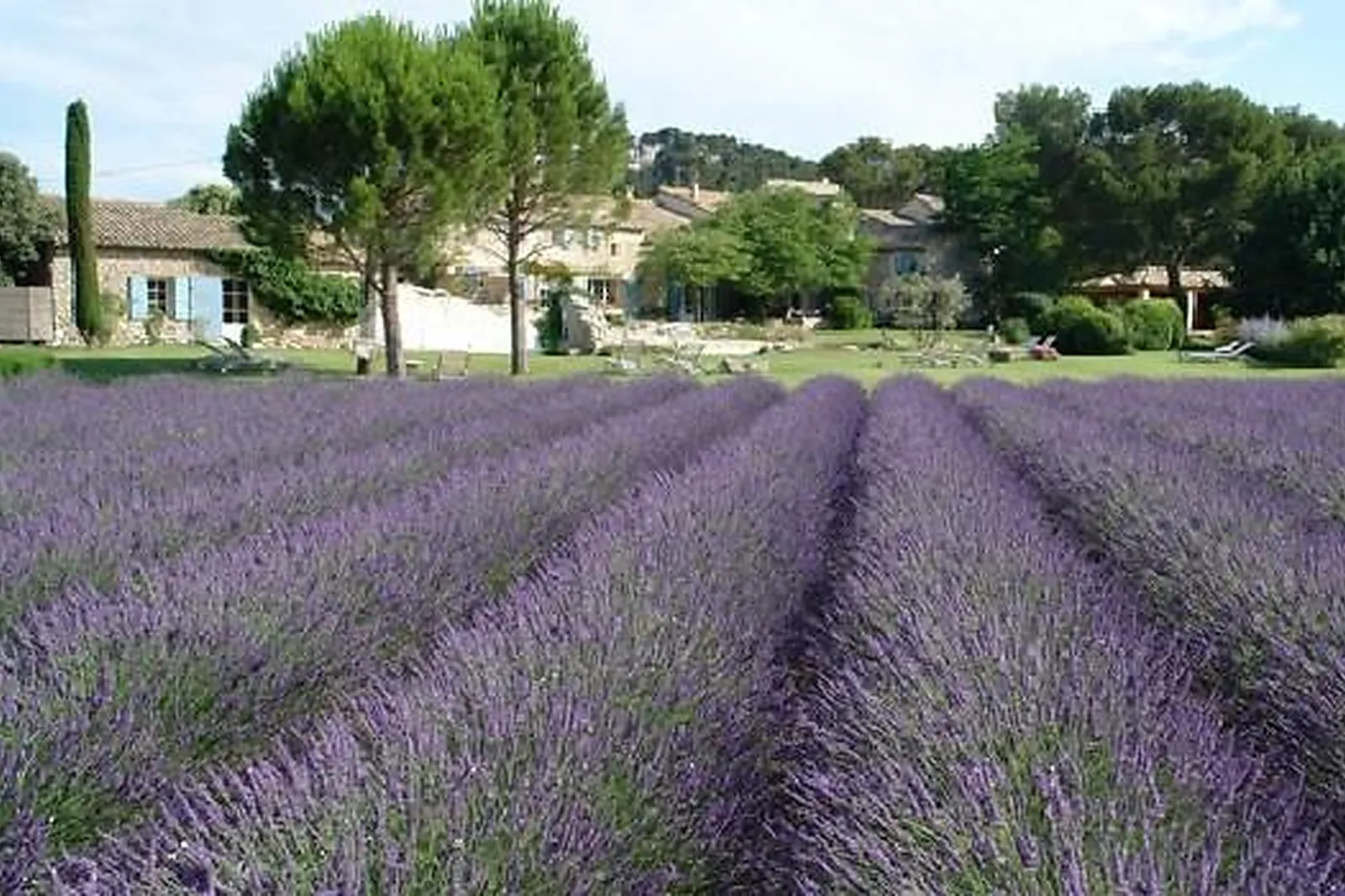 Lieux événementiels, LE MAS DE LA ROSE