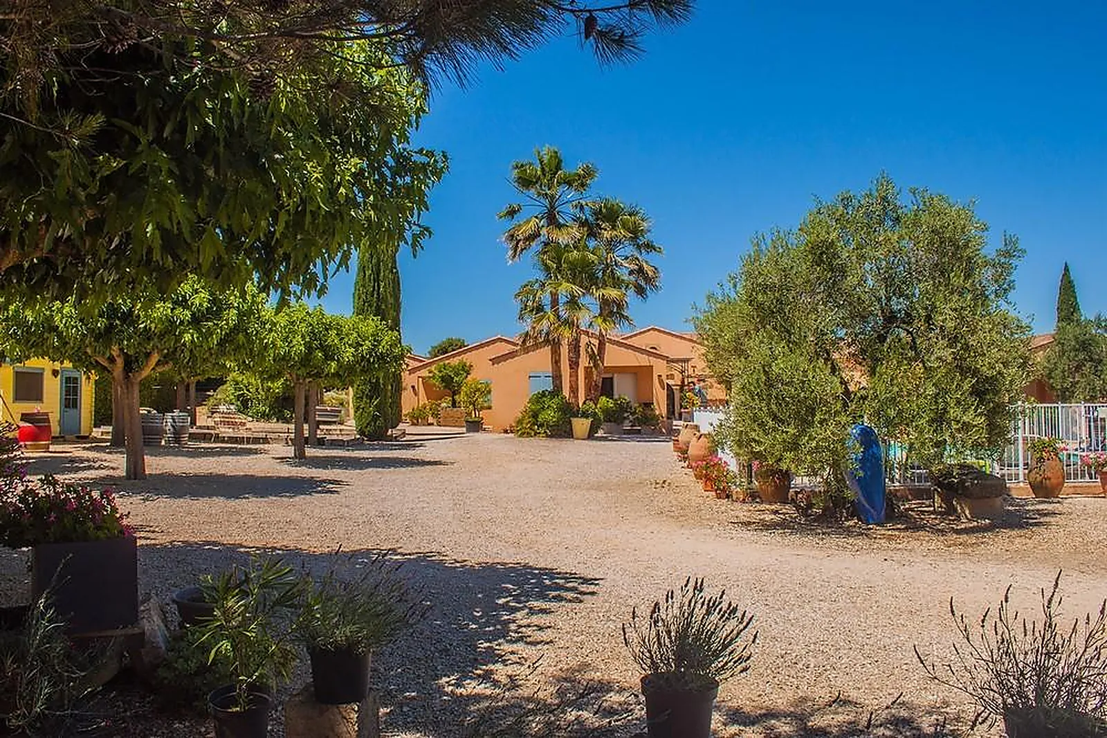 Lieux événementiels, LE MAS DES SAGNES