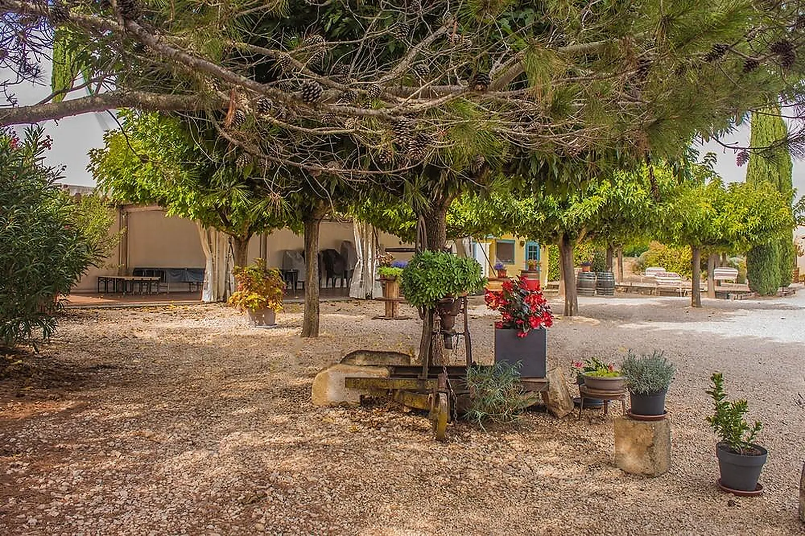 Lieux événementiels, LE MAS DES SAGNES