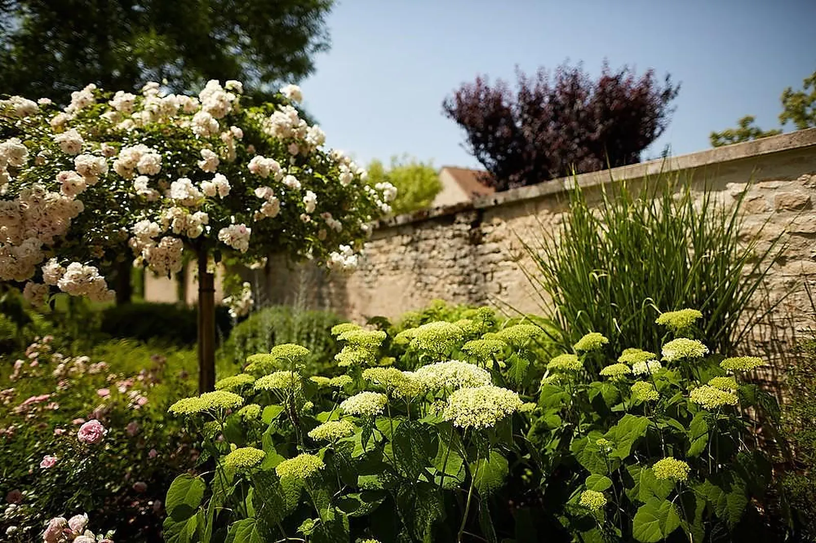 Lieux événementiels, LE MONTRACHET