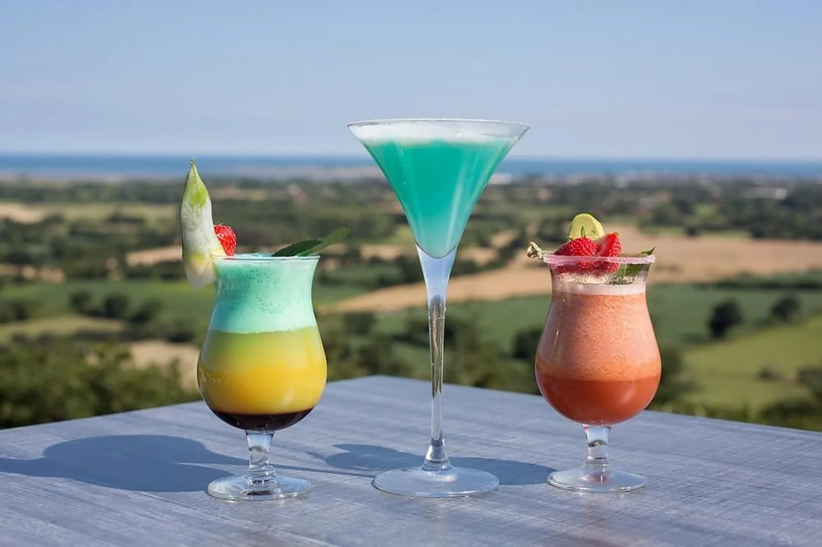 Lieux événementiels, LE PANORAMIQUE