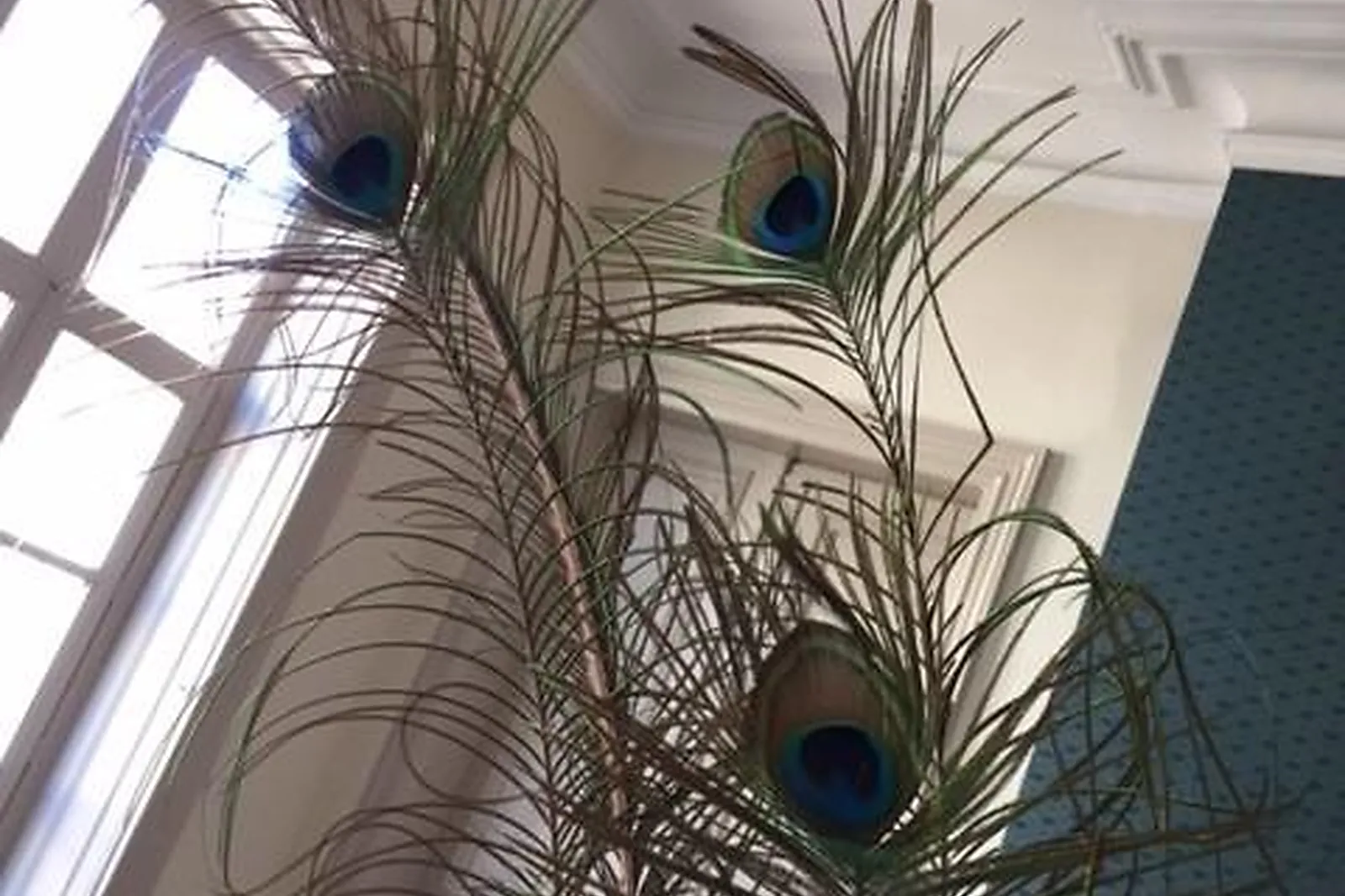 Lieux événementiels, LE PAON COWORKING