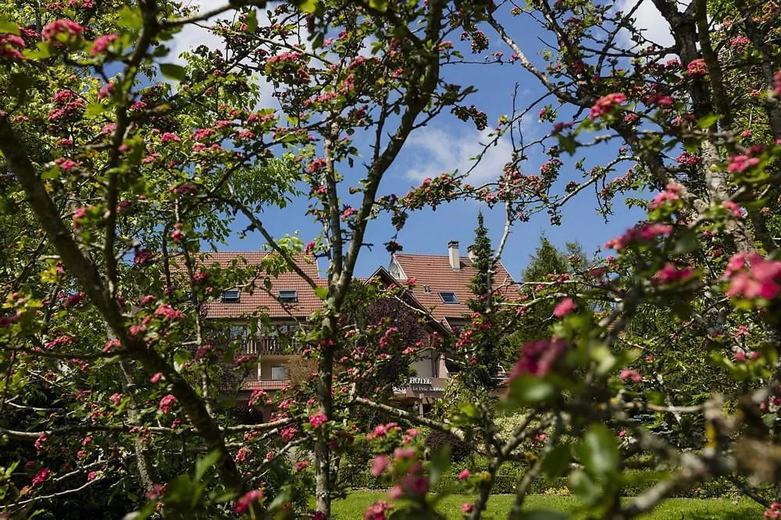 Lieux événementiels, LE PETIT KOHLBERG