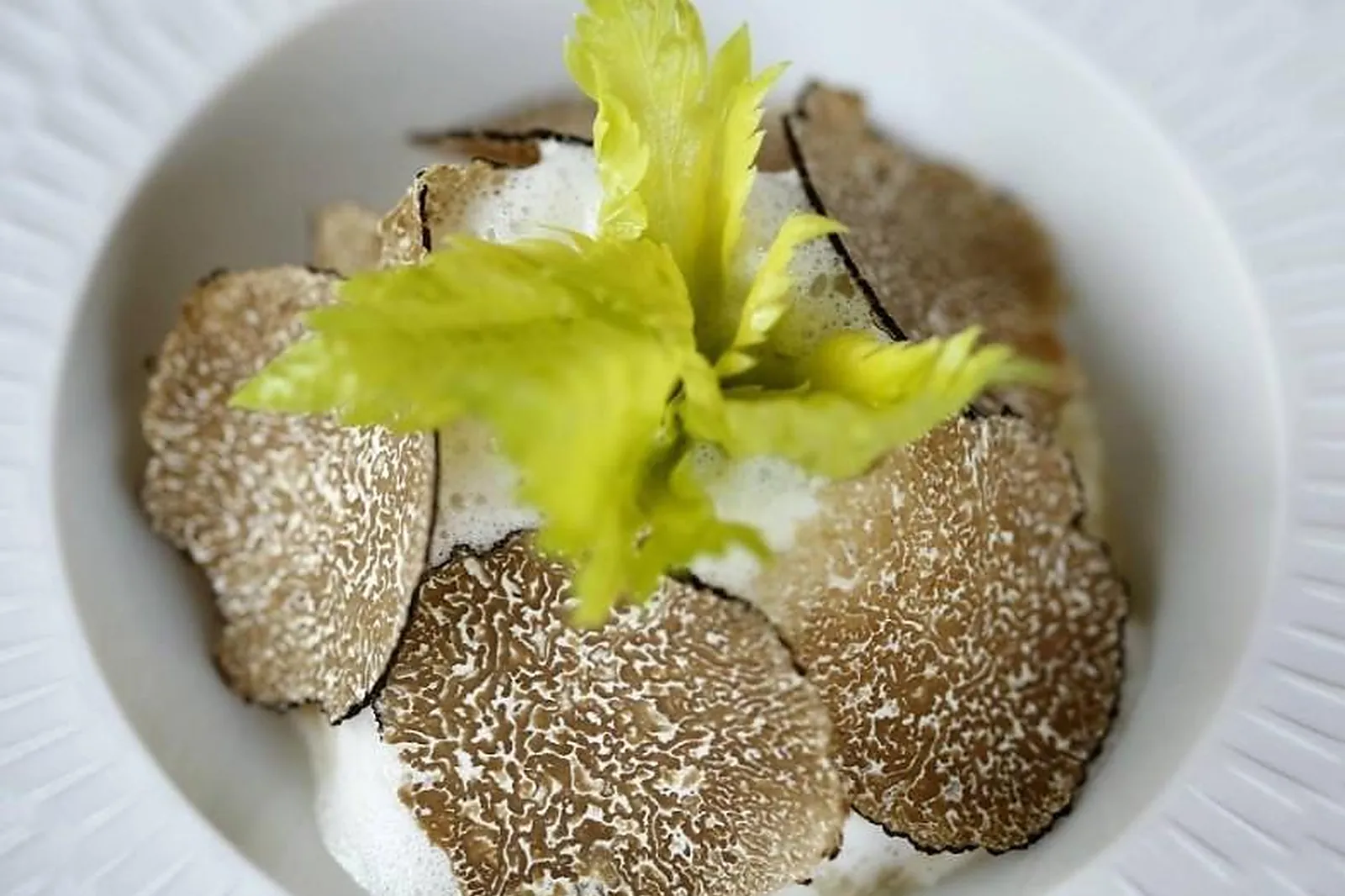 Lieux événementiels, LE QUINCANGROGNE