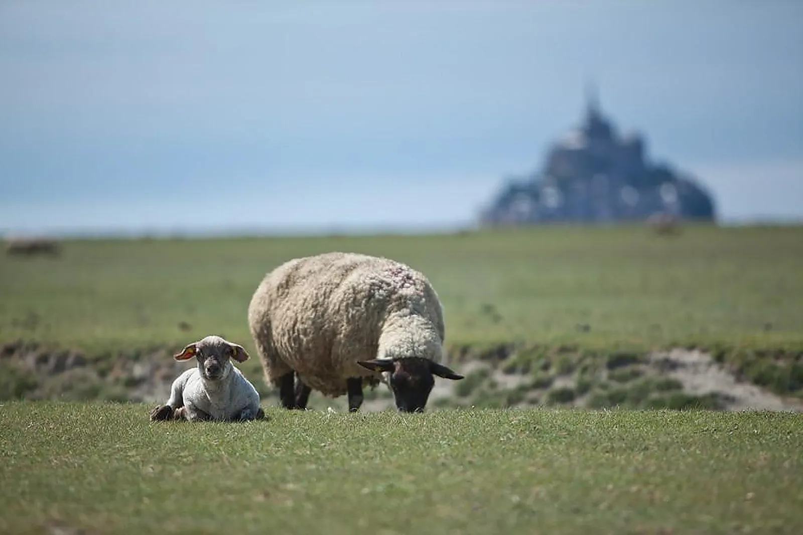 Lieux événementiels, LE RELAIS SAINT-MICHEL