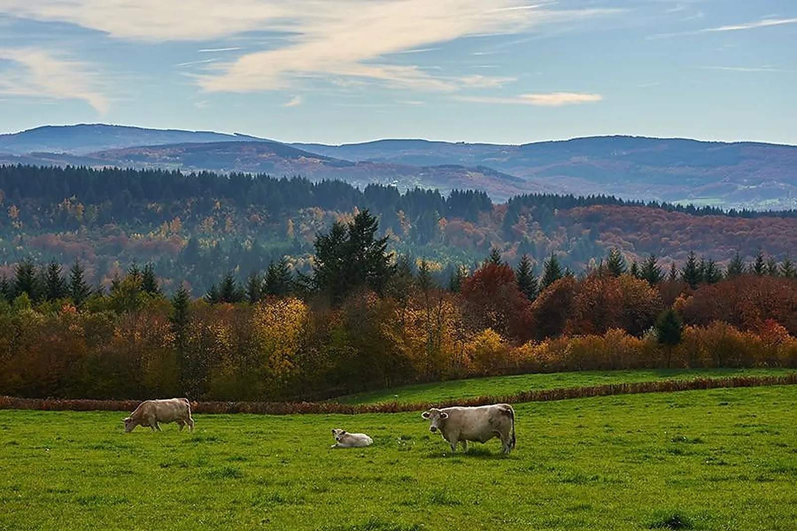 Lieux événementiels, LE RELAIS DES LACS
