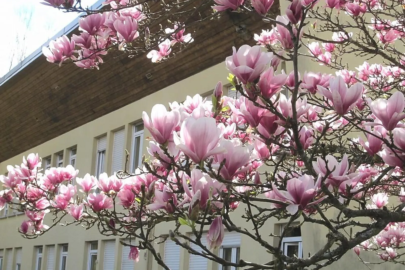 Lieux événementiels, LE RIMLISHOF