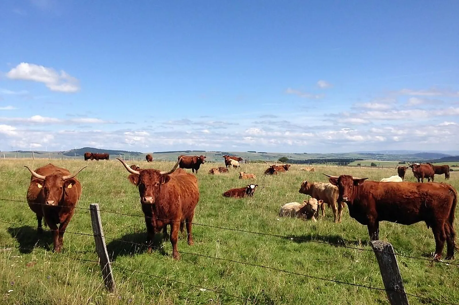 Lieux événementiels, LE ROCHER DU CERF