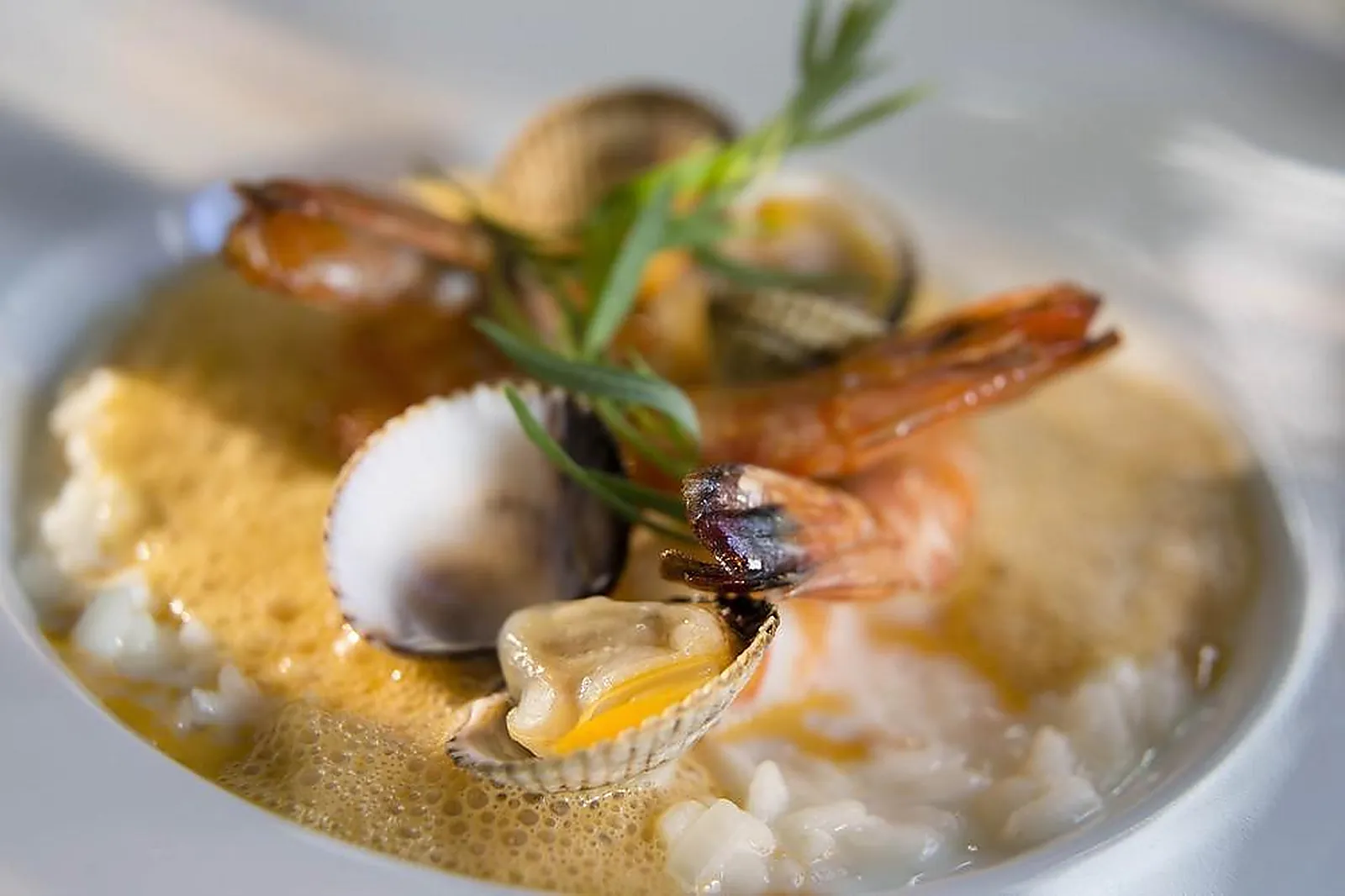 Lieux événementiels, LE SAINT