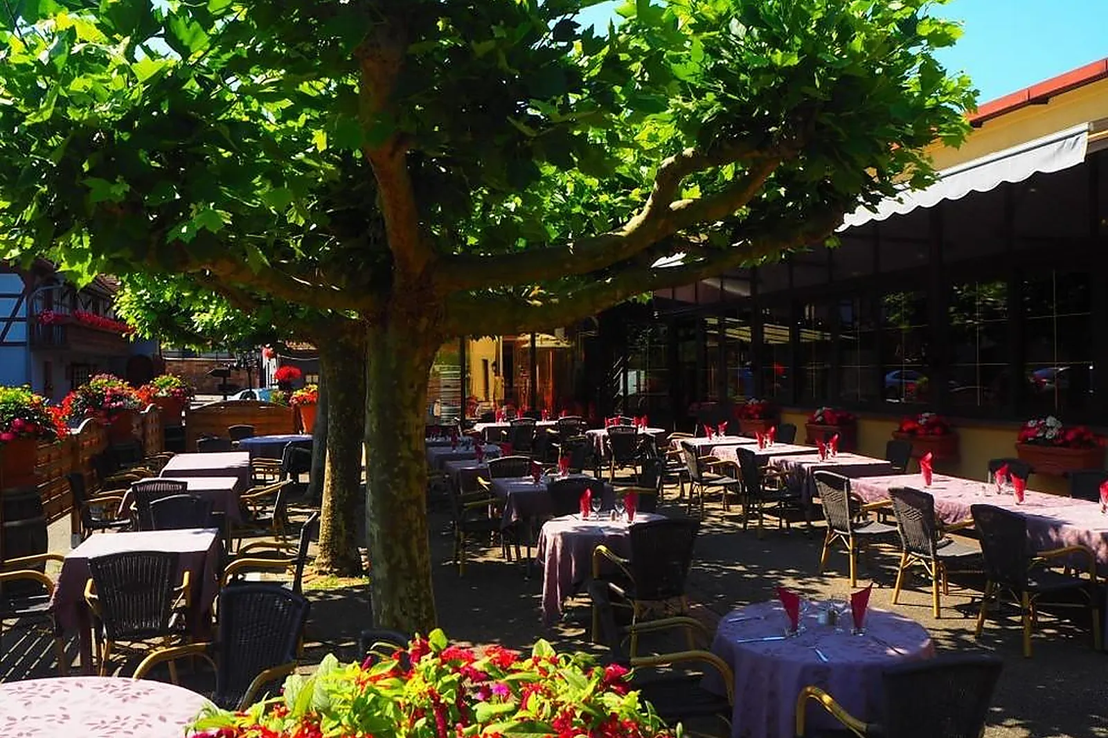 Lieux événementiels, LE SCHARRACH