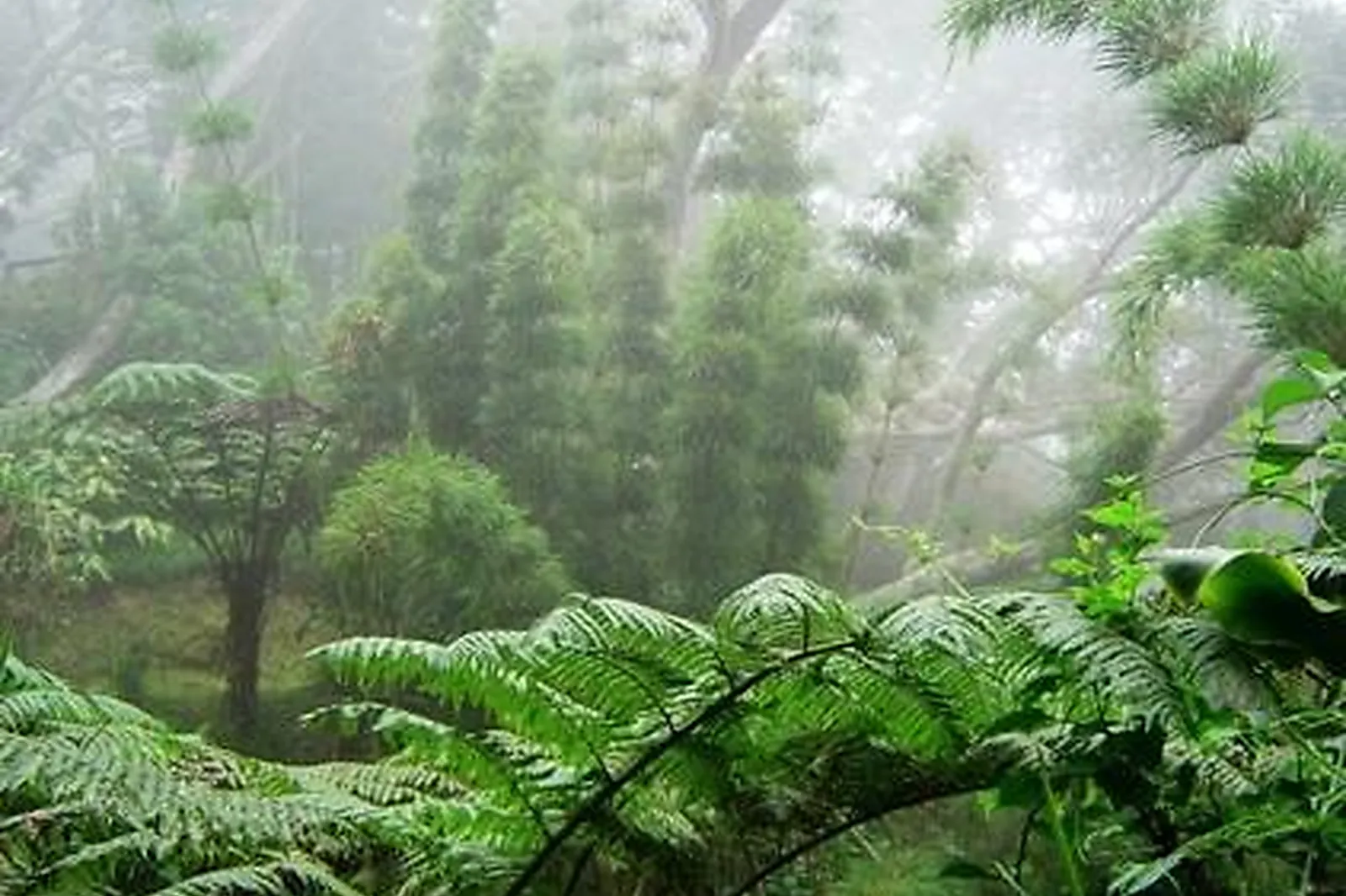 Lieux événementiels, LE SPARTIATE