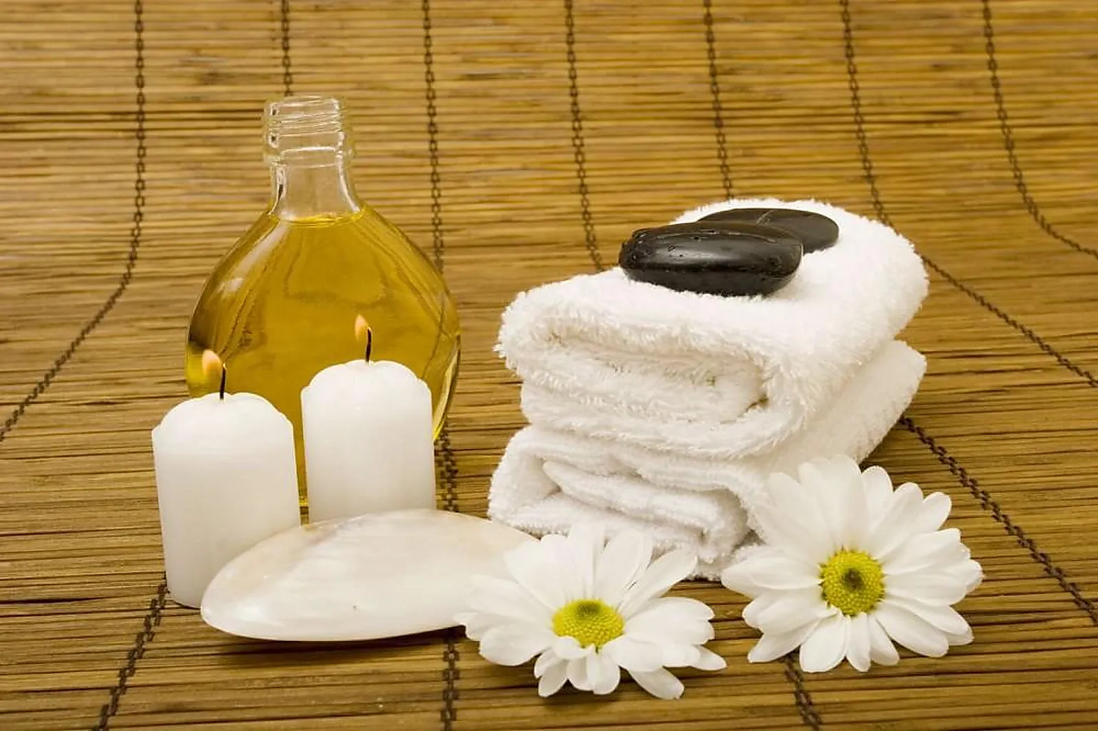 Lieux événementiels, LE STELSIA