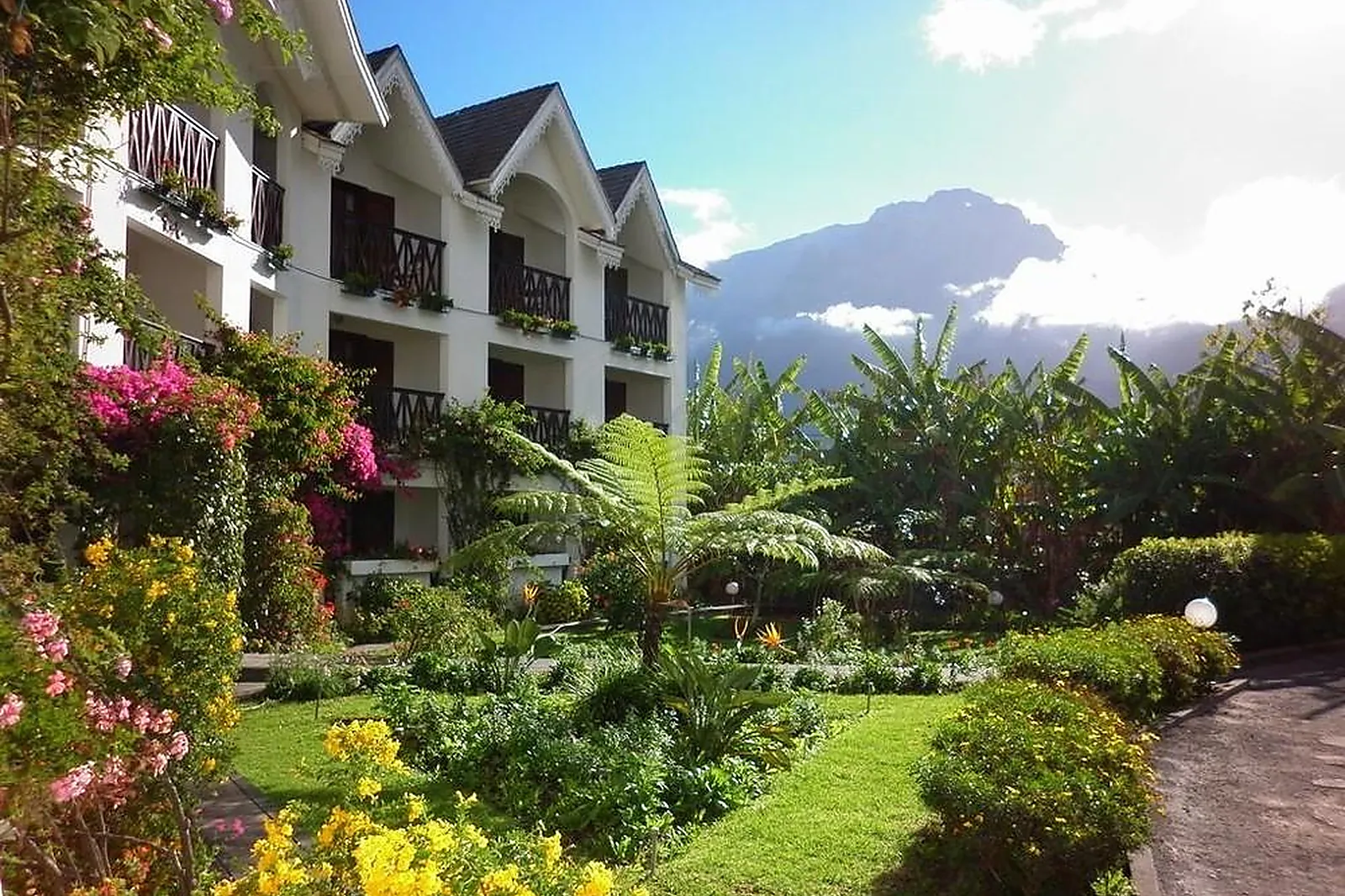 Lieux événementiels, LE VIEUX CEP