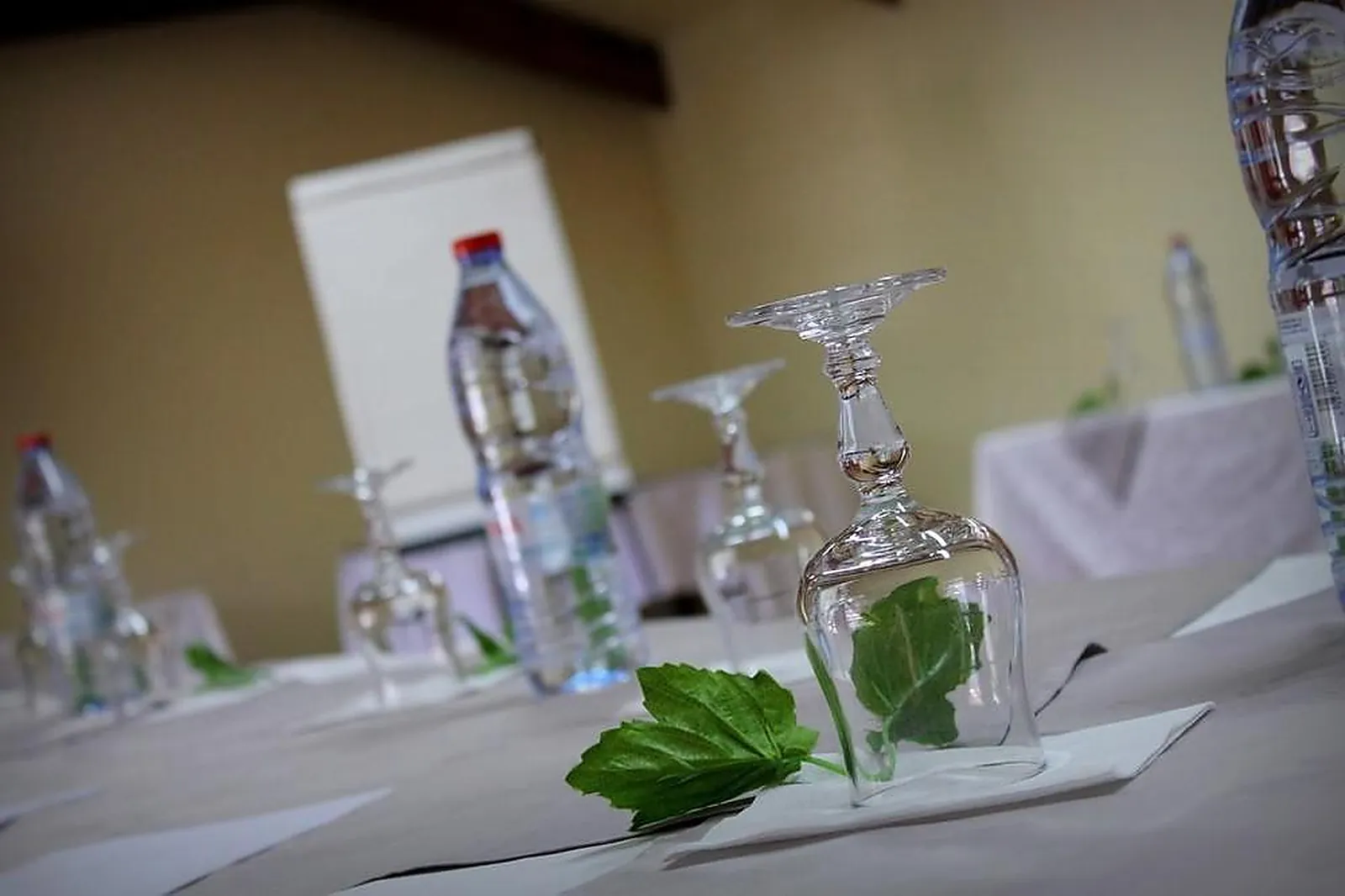 Lieux événementiels, LE VIEUX CEP