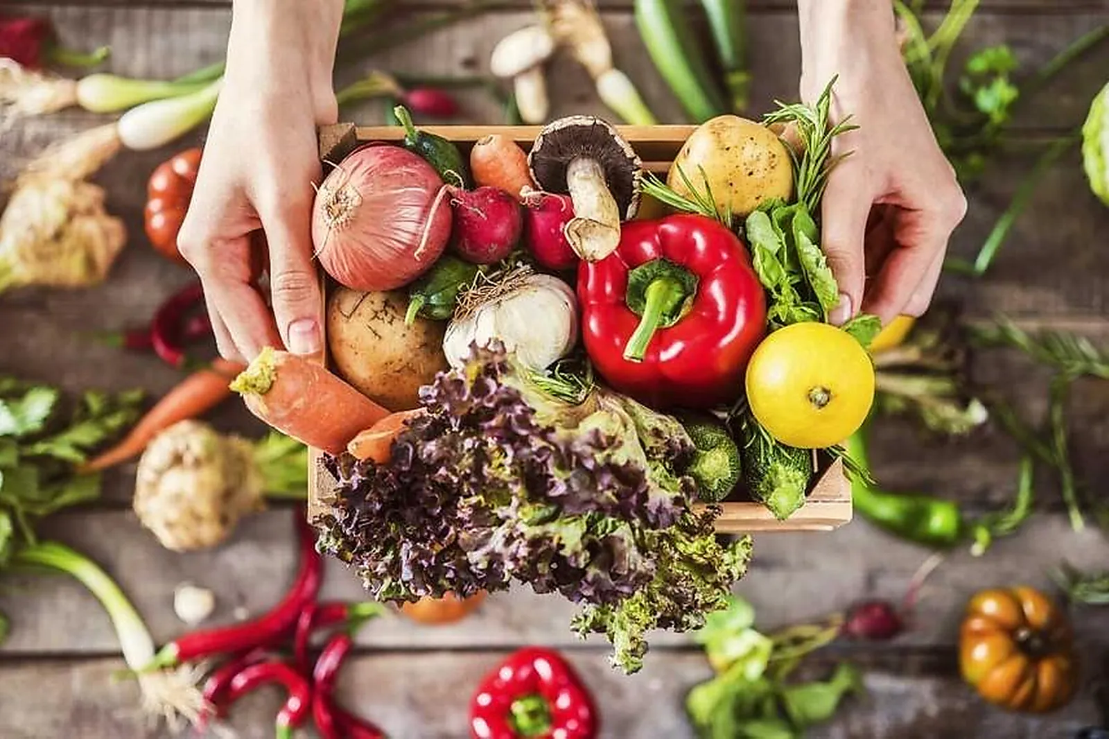 Lieux événementiels, LES ALLÉES GOURMANDES