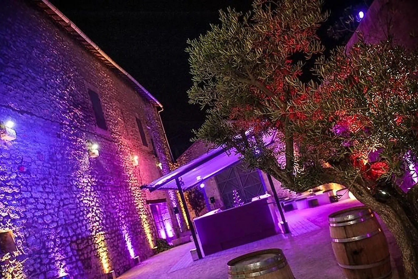 Lieux événementiels, LES BEAUX CHAIS