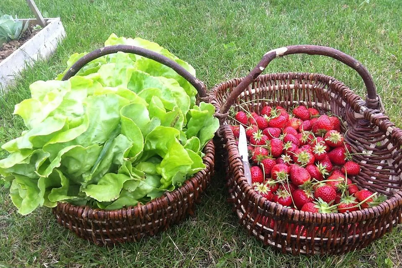 Lieux événementiels, LES BUSSONNIÈRES