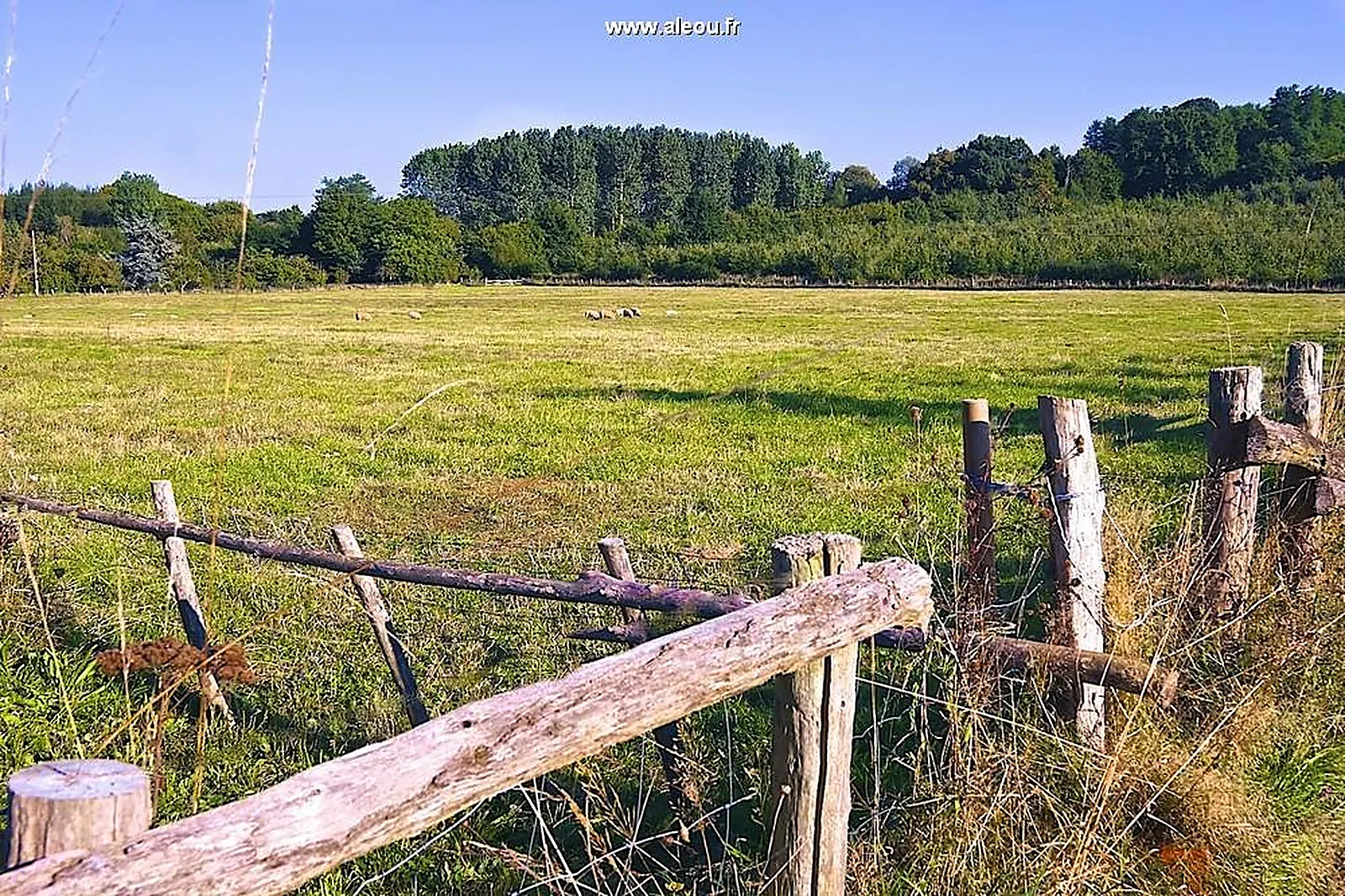 Lieux événementiels, LES BUSSONNIÈRES