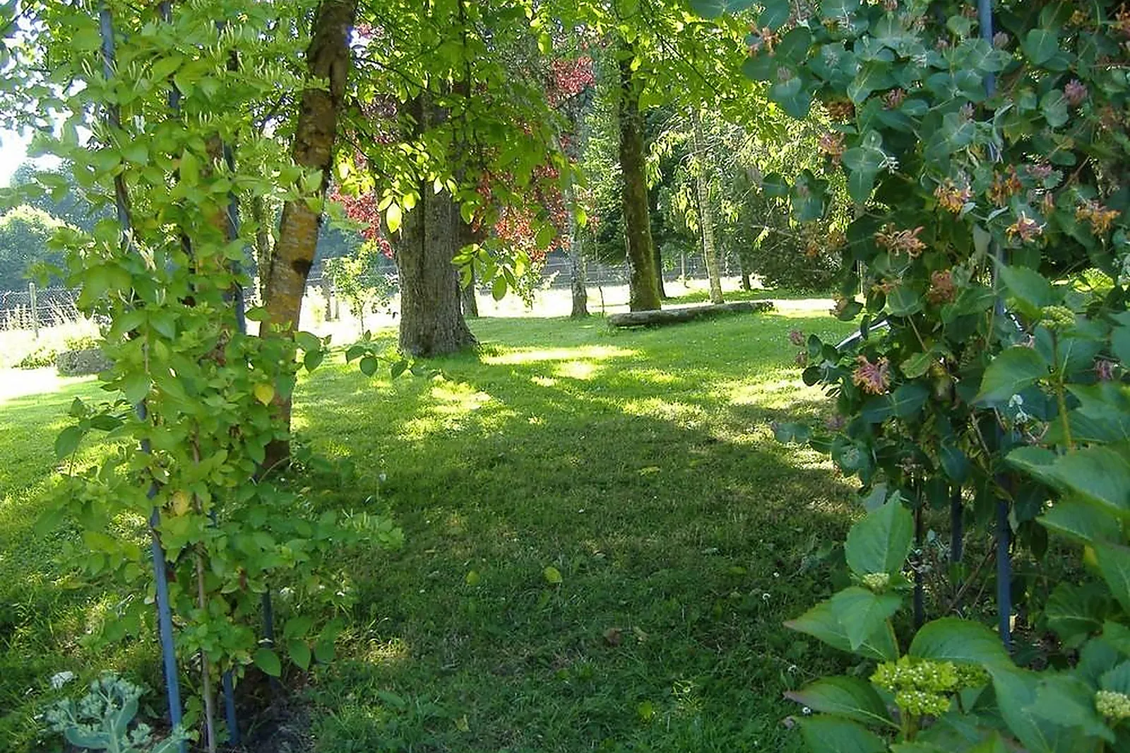 Lieux événementiels, LES CHAUVIÈRES