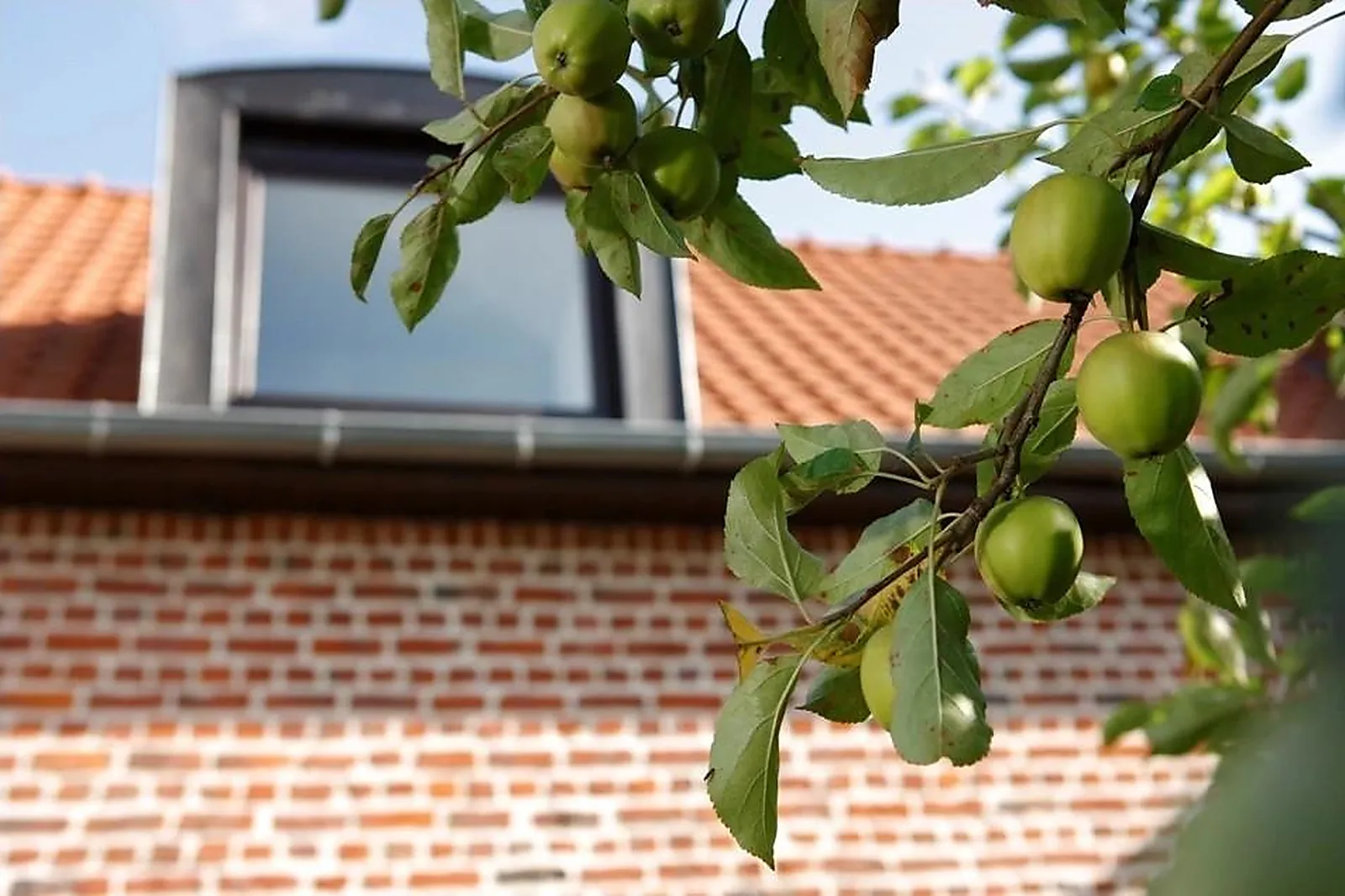 Lieux événementiels, LES DAMOISELLES
