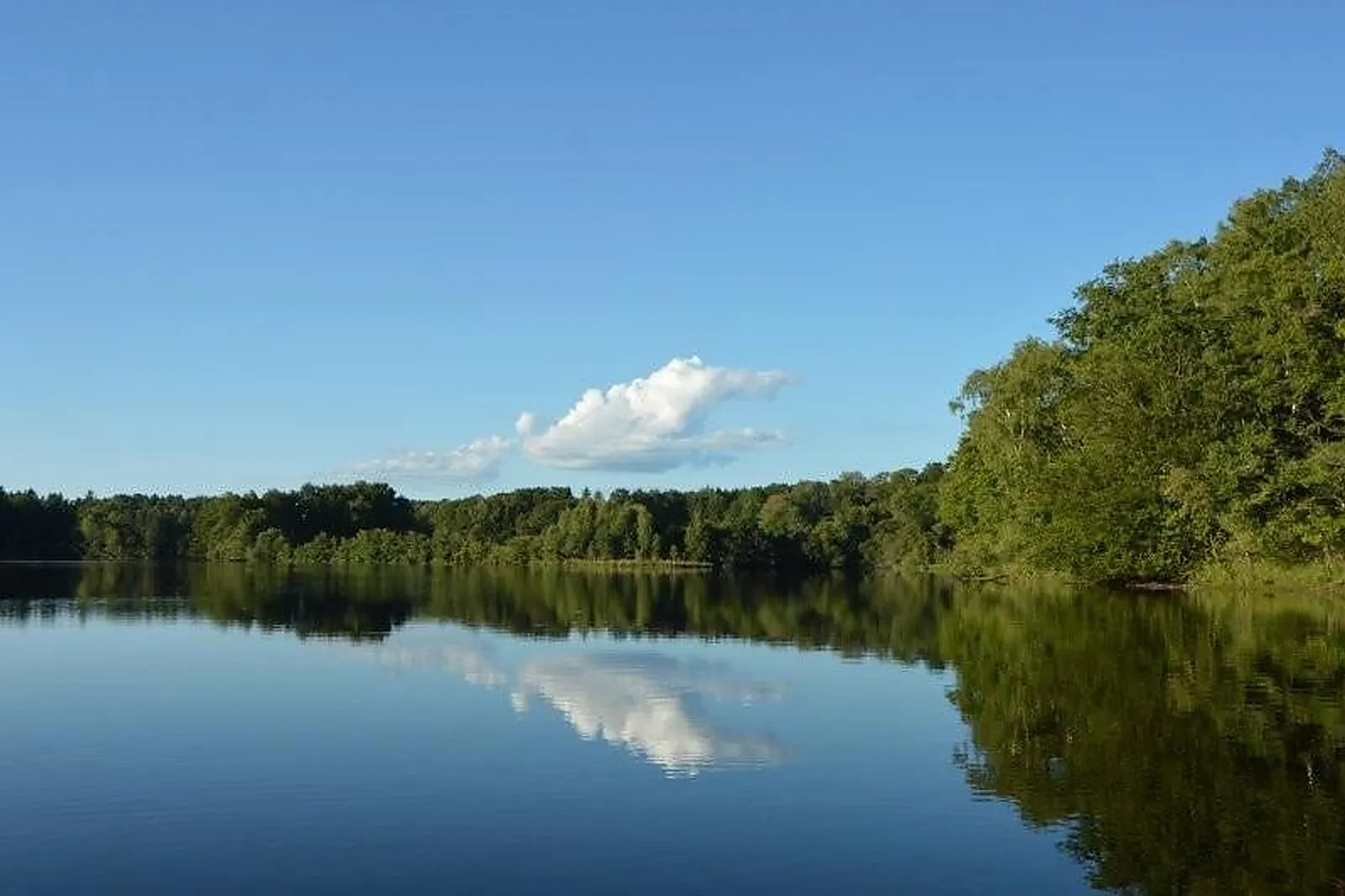 Lieux événementiels, LES ETANGS DE TAYSSE