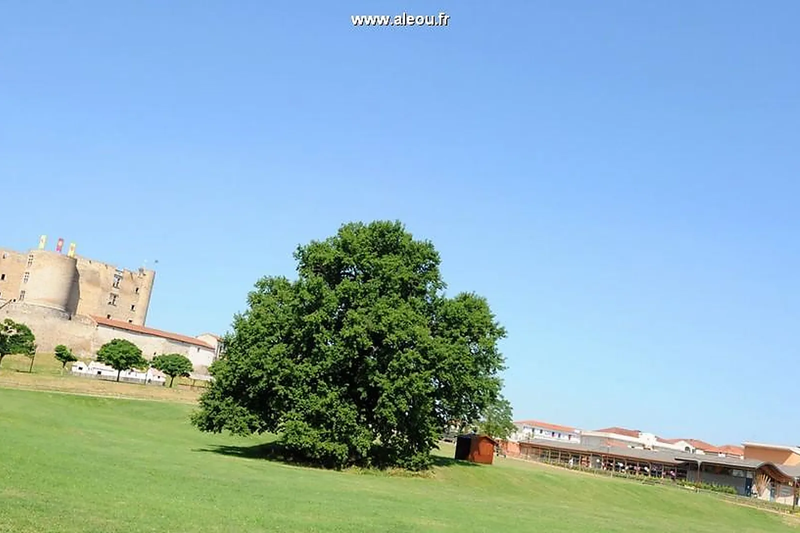 Lieux événementiels, LES FORÉZIALES