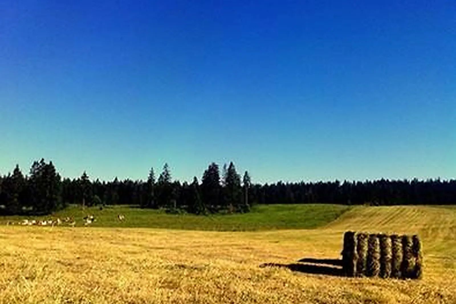 Lieux événementiels, LES GRENIERS DU MEIX LAGOR