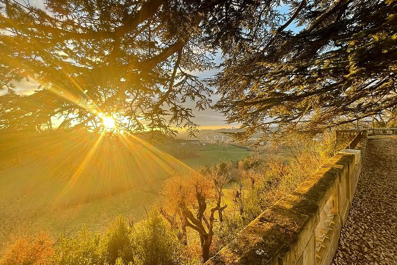 Lieux événementiels, LES HAUTS DE LA FRÉGATE