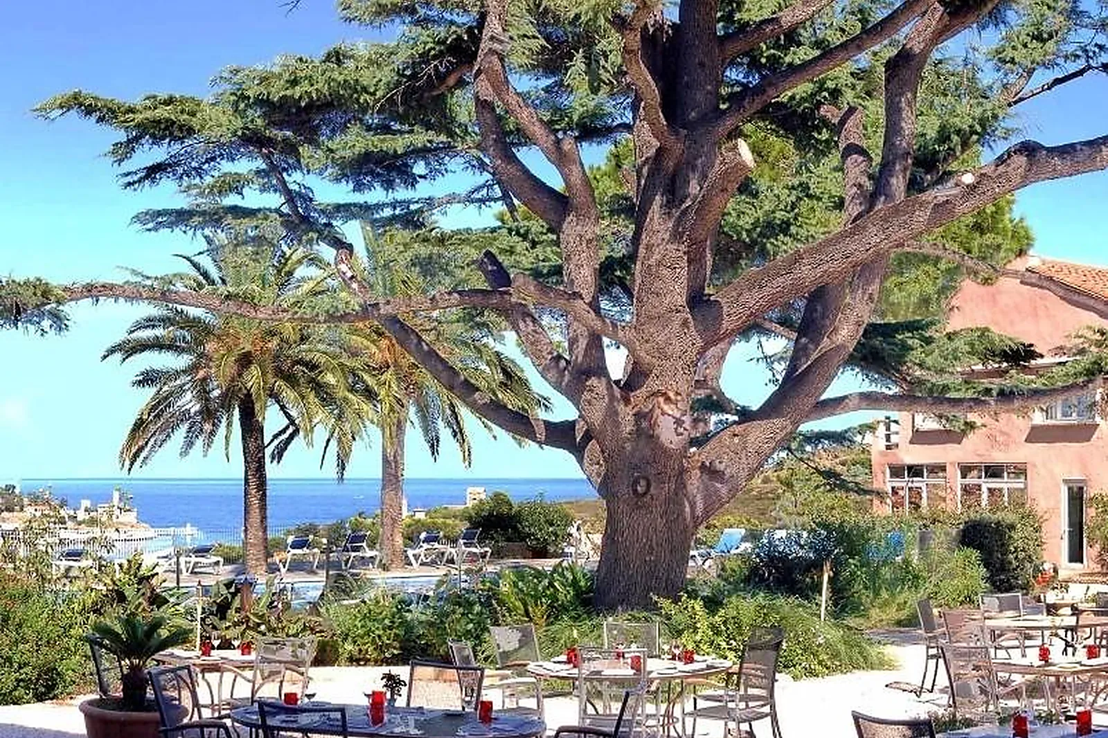 Lieux événementiels, LES JARDINS DU CÈDRE