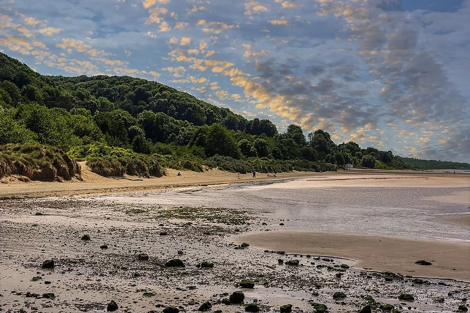 Lieux événementiels, LES MAISONS DE LÉA