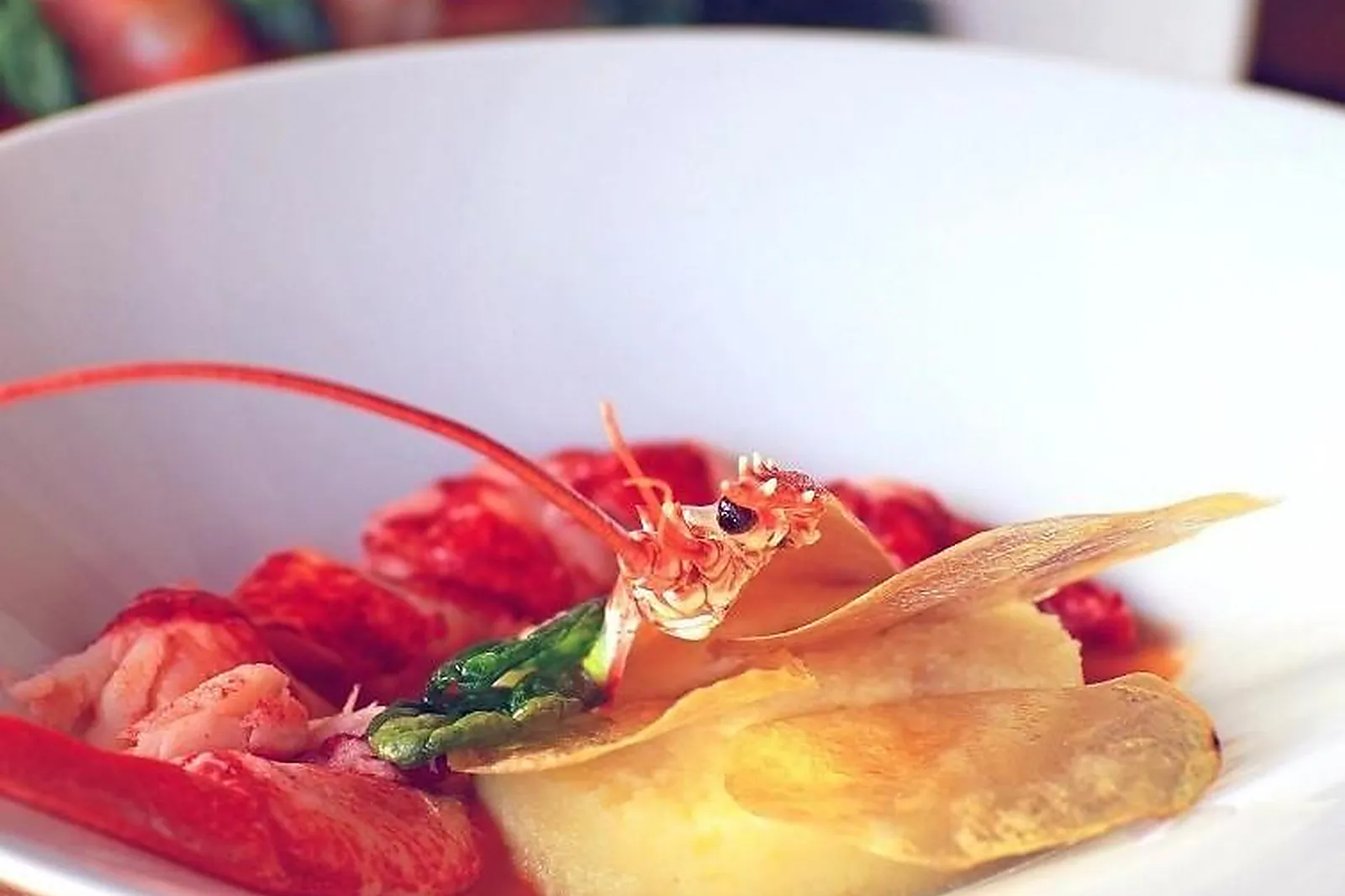 Lieux événementiels, LES PIGEONS BLANCS