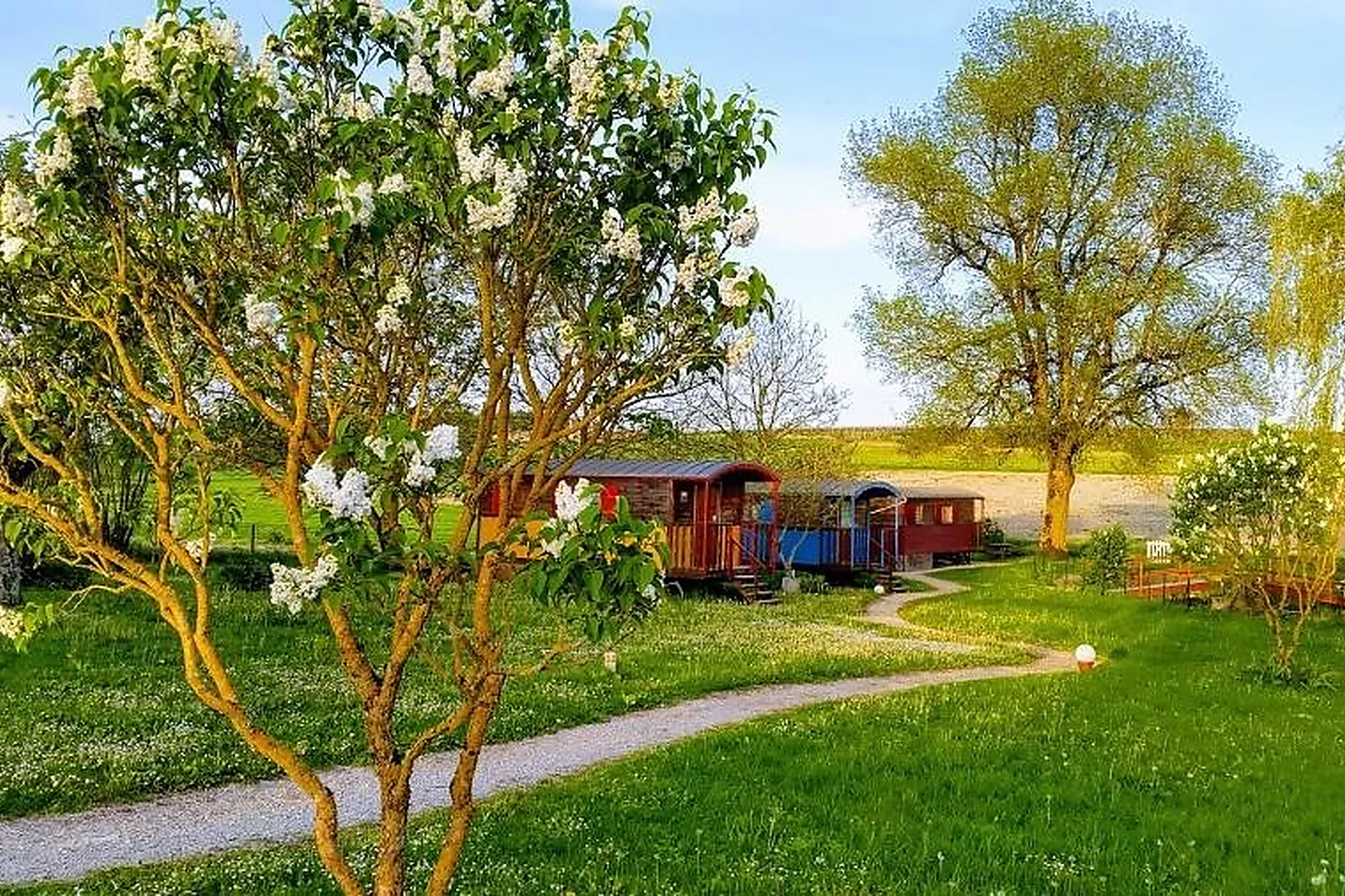 Lieux événementiels, LES ROSES DE JONZAC