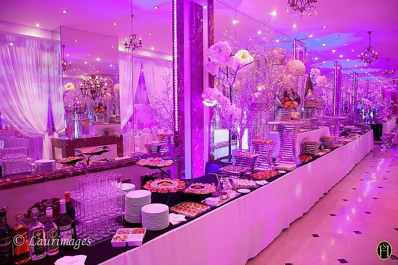 Lieux événementiels, LES SALONS HOCHE