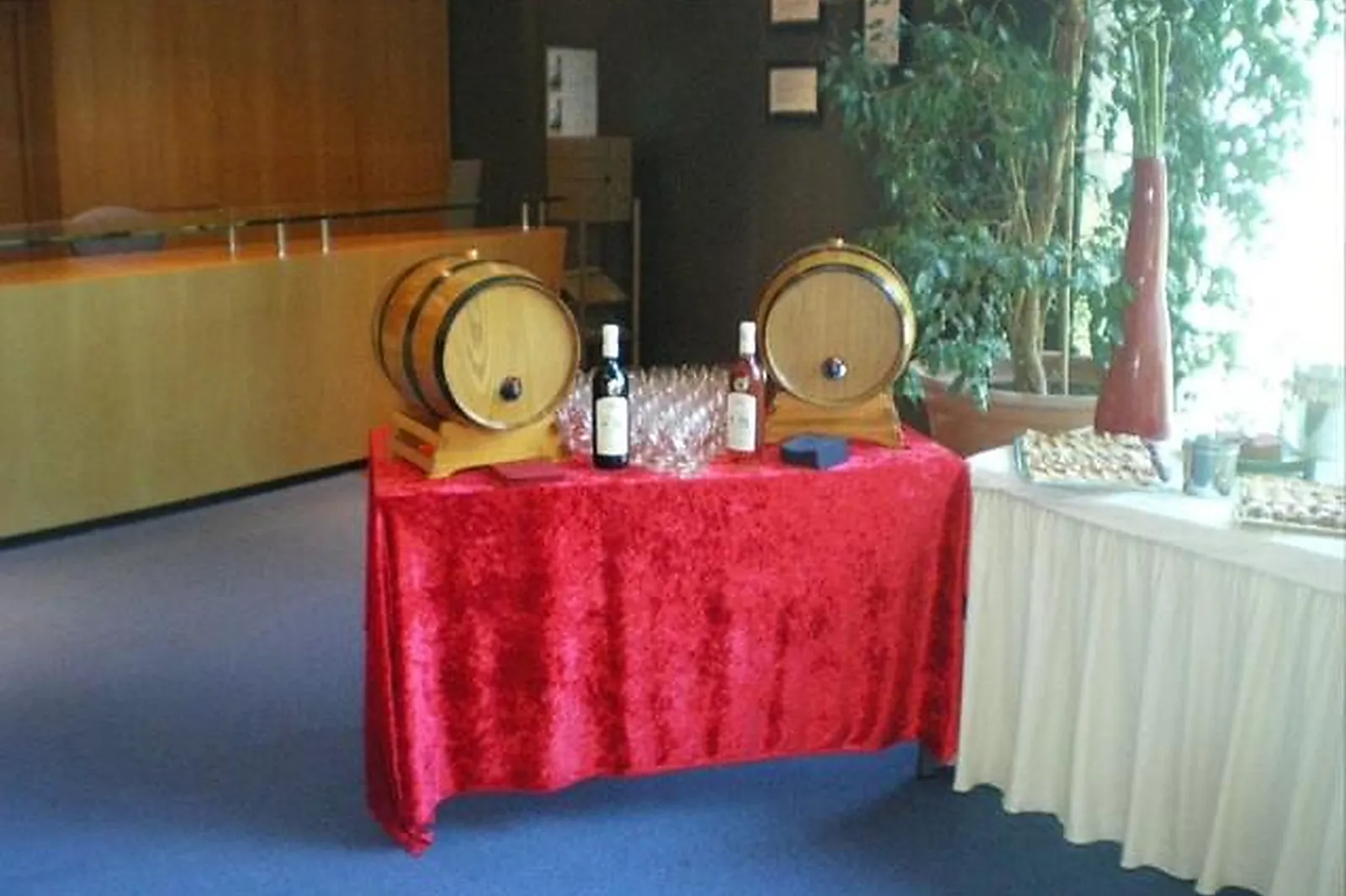 Lieux événementiels, LES SALONS DE VÉRO